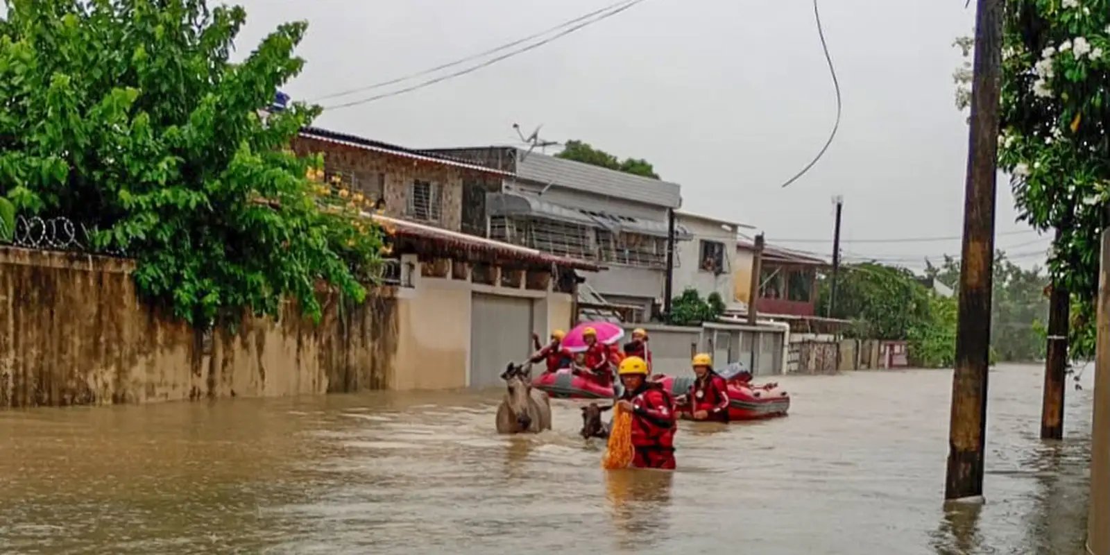 chuvas_em_pernambuco04.jpg