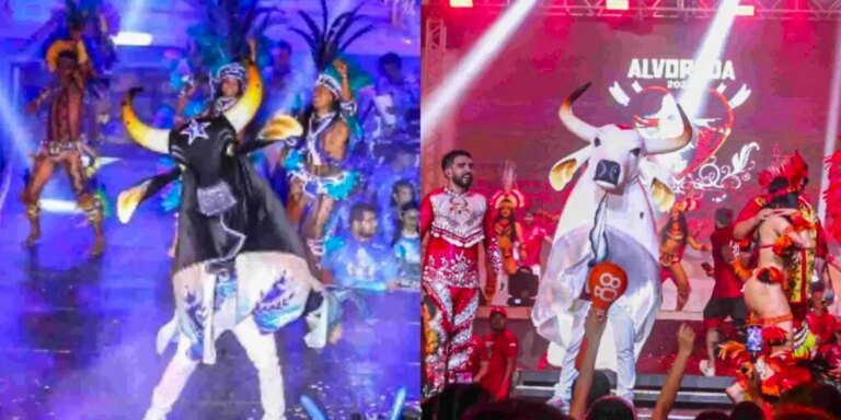 festival_de_parintins2025.jpg