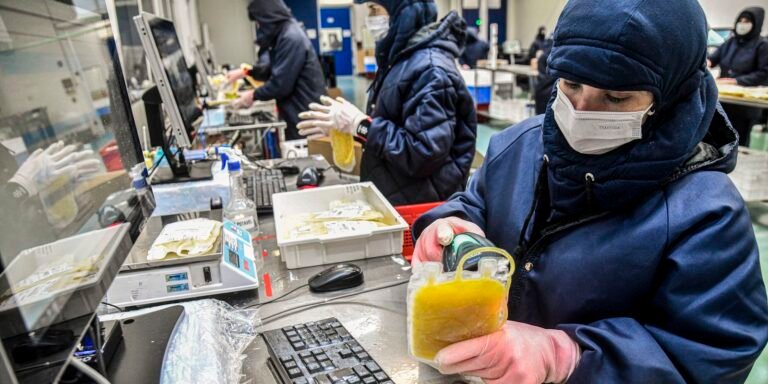 leo6429-2-.jpg