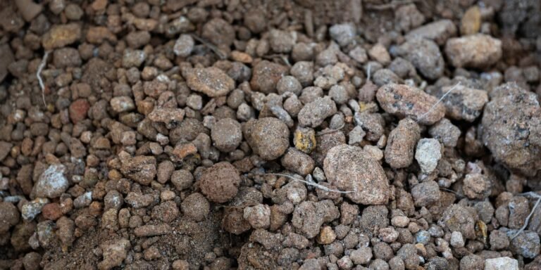 2026-06-22t100307z_1816000975_rc2pxla6aev7_rtrmadp_3_brazil-eu-minerals.jpg