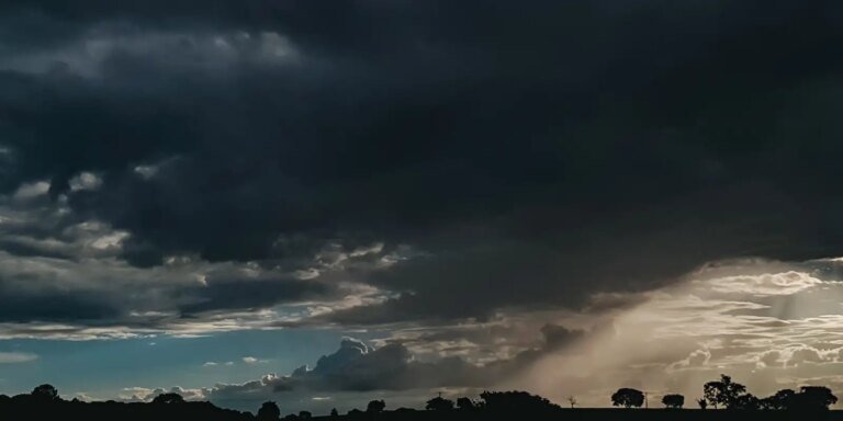 v0030538.jpg