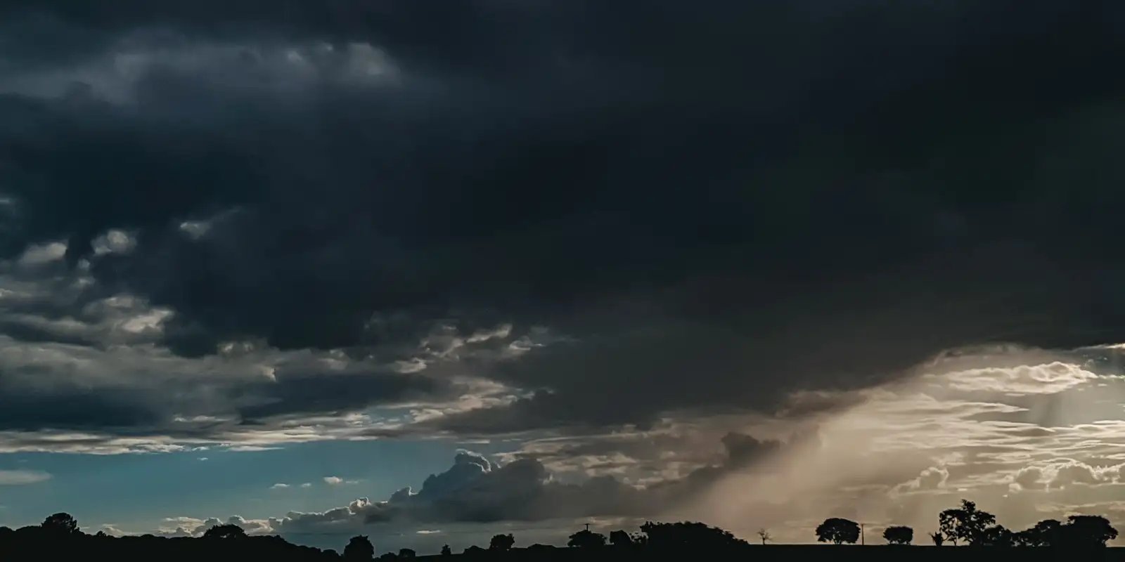 v0030538.jpg